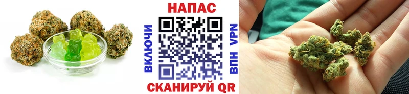 Cannafood конопля Волхов