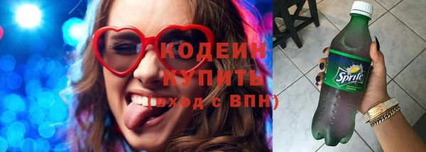 индика Каменногорск