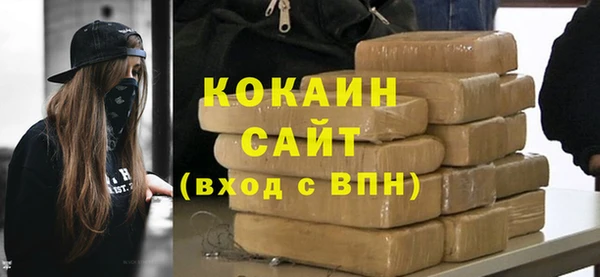 индика Каменногорск