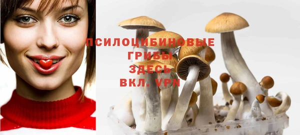 кристаллы Каменка