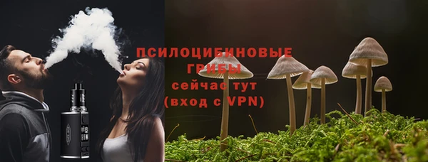 индика Каменногорск