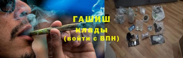 индика Каменногорск