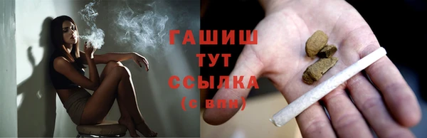 индика Каменногорск
