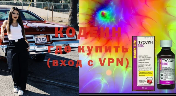 индика Каменногорск