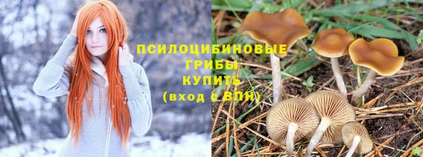 амф Каменск-Шахтинский
