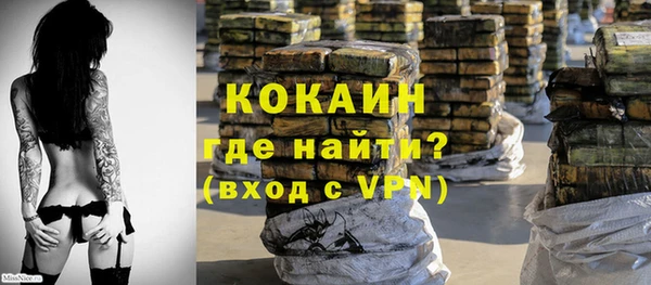 тгк Касимов