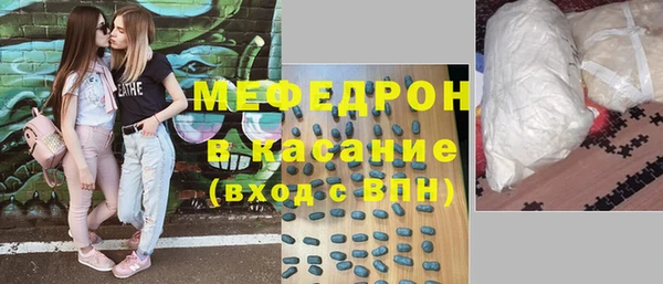 индика Каменногорск