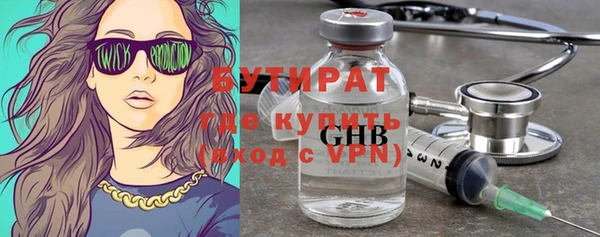 индика Каменногорск