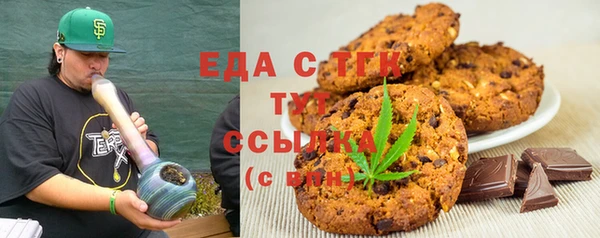 индика Каменногорск