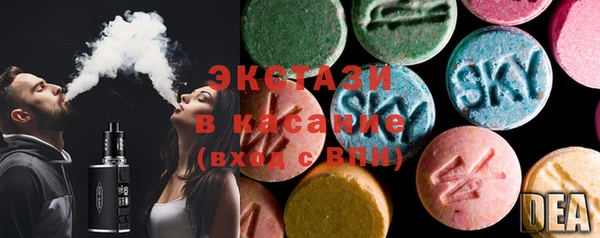 индика Каменногорск