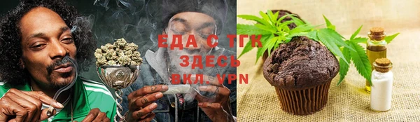 индика Каменногорск