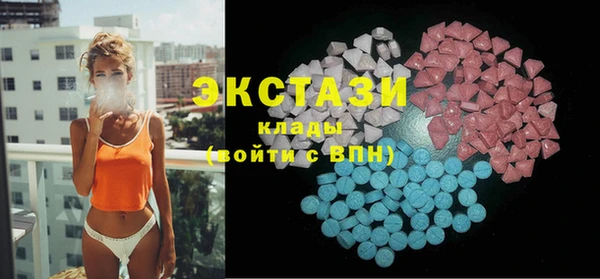 индика Каменногорск