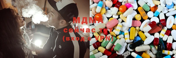индика Каменногорск