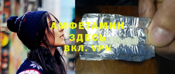 индика Каменногорск