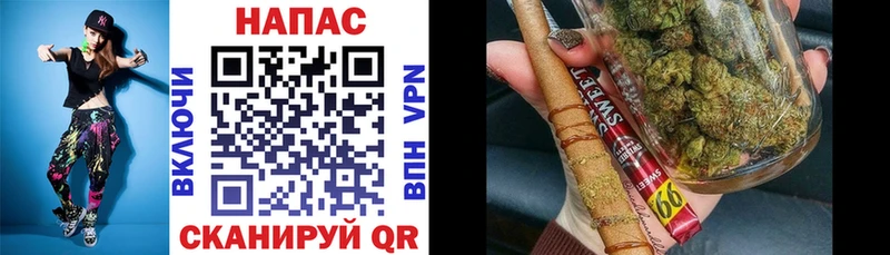 Купить закладки  Волхов  Бошки марихуана SATIVA & INDICA 